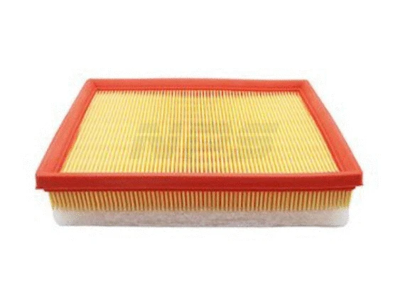 Air Filter (T132A139)