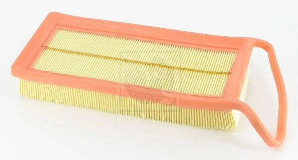 Air Filter (T132A112)