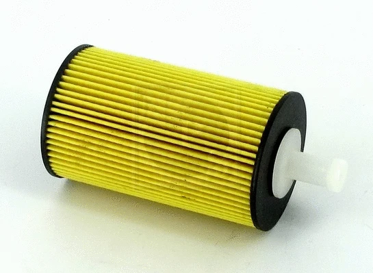 Oil Filter (T131A21)