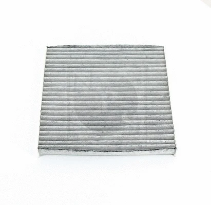 Filter, cabin air (M135I11)