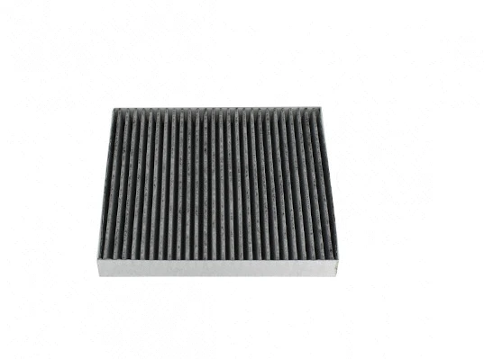 Filter, cabin air (F135T225)