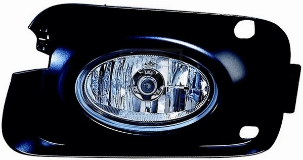 Front Fog Light (H695A25A)