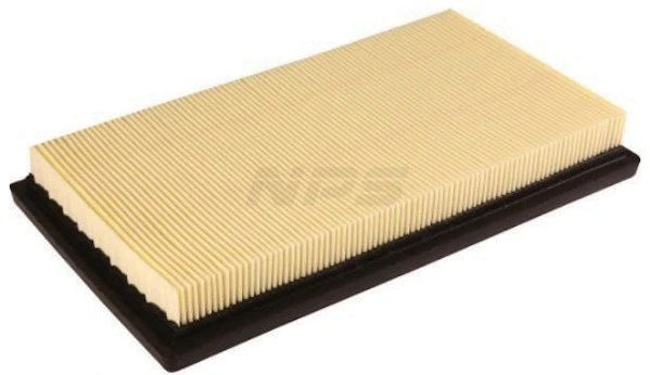 Air Filter (T132A138)