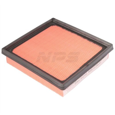 Air Filter (T132A141)