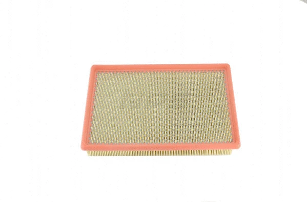 Air Filter (F132T218)