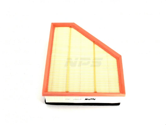 Air Filter (B132W01)