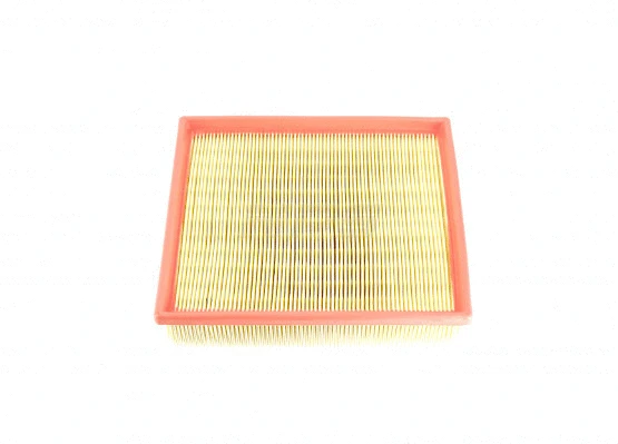Air Filter (B132W02)