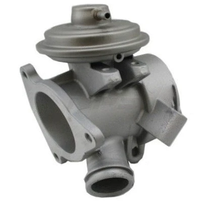 EGR Valve (M564Z01)