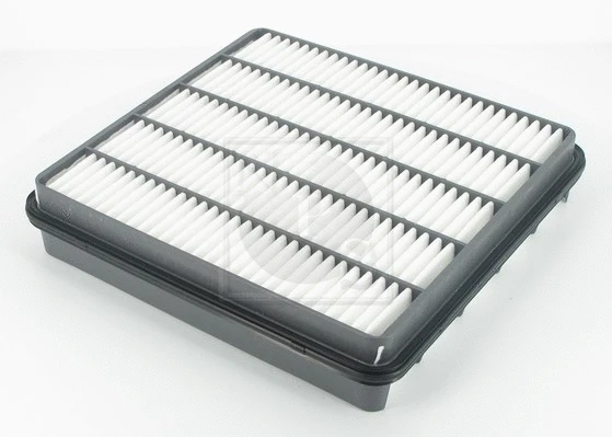 Air Filter (T132A118)
