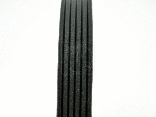 V-Ribbed Belt