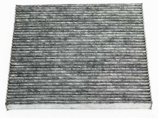 Filter, cabin air (T135A17)