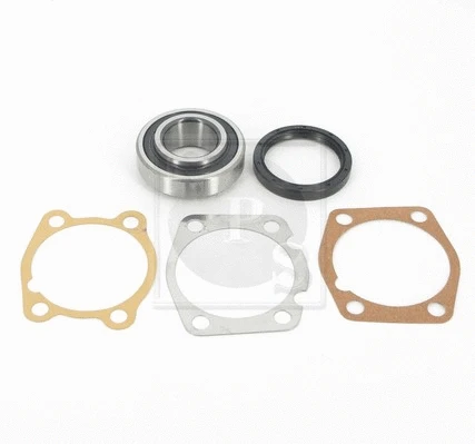 Wheel Bearing Kit (T471A04)