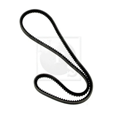 V-Belt (S111I17)