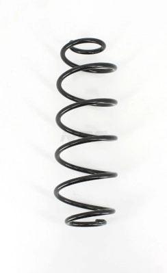 Suspension Spring (P491A02)