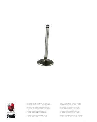 Intake Valve (T920A13)