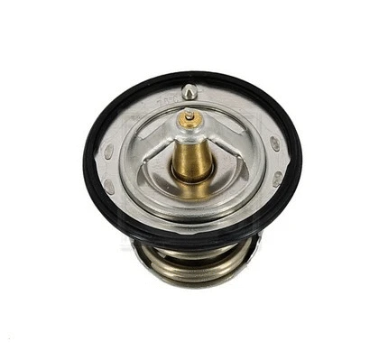 Thermostat, coolant (S153U03)