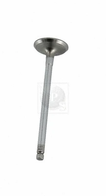 Intake Valve (D920O01)