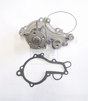 Water Pump, engine cooling (S151I03)