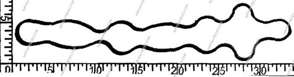 Gasket, cylinder head cover