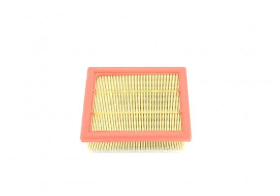 Air Filter (F132T209)