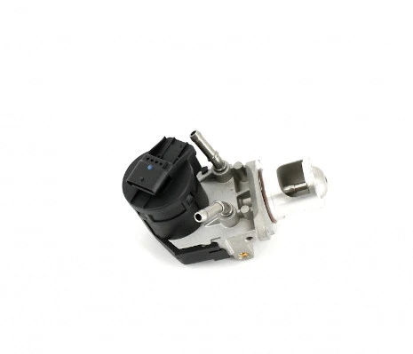 EGR Valve (B564W02)