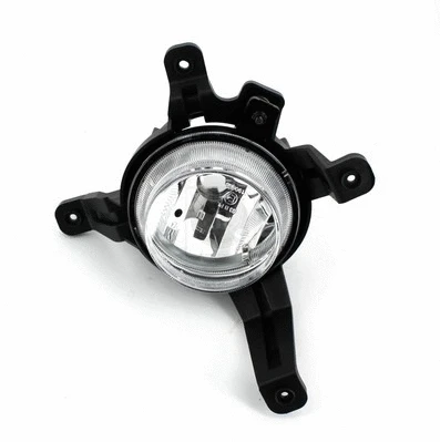 Front Fog Light (H696I02)