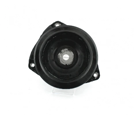 Suspension Strut Support Mount (R489T02)