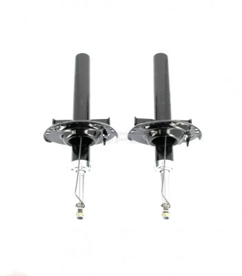 Shock Absorber (R497T06)