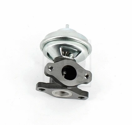 EGR Valve (H564I01)