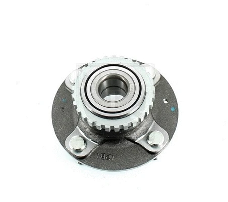 Wheel Hub (H471I10)