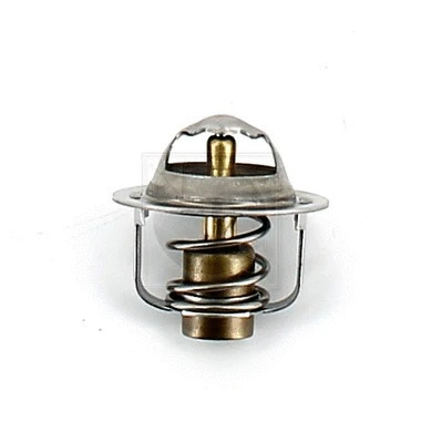 Thermostat, coolant (S153I03)