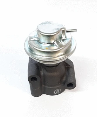 EGR Valve (H564I02)