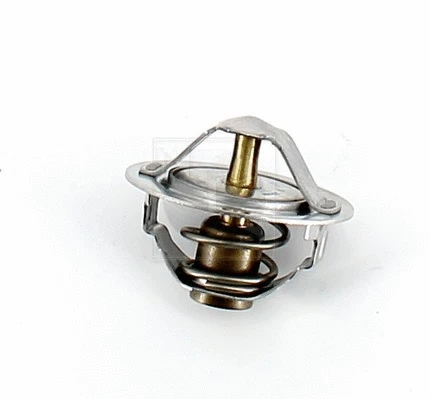 Thermostat, coolant (S153I06)