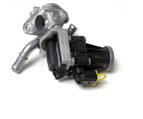 EGR Valve (P564A07)