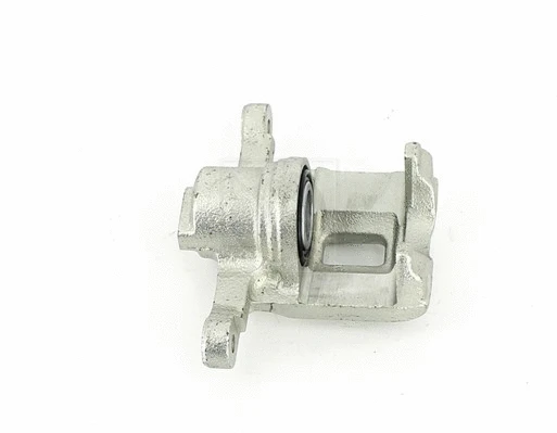 Brake Caliper (D321O09)