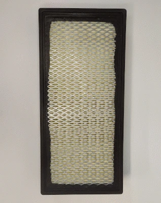 Air Filter (F132T210)