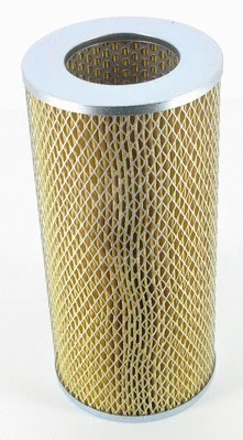 Air Filter (T132A45)