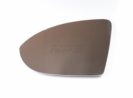 Exterior Mirror (V771G01)
