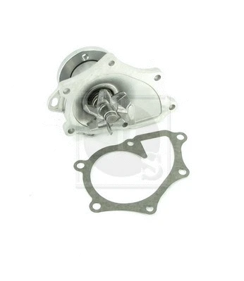 Water Pump, engine cooling (T151A96)
