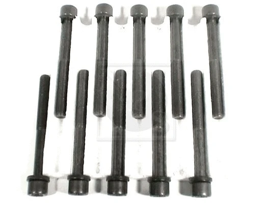Cylinder Head Bolt Set (D128O04)