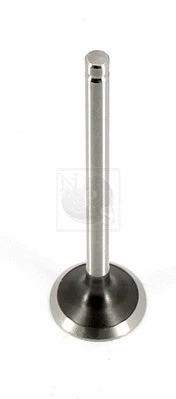 Exhaust Valve (D921O01)