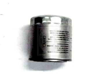 Fuel Filter (S133I22)