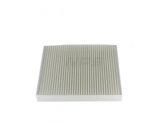 Filter, cabin air (D135O200)