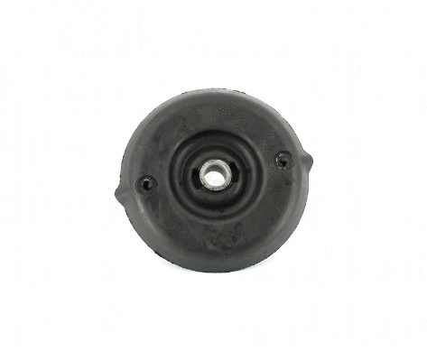 Suspension Strut Support Mount (P489A02)