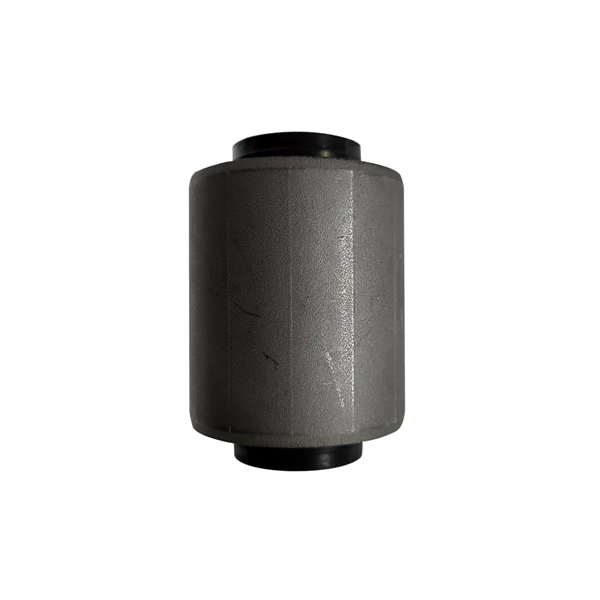 Mounting, control/trailing arm (GV0949)