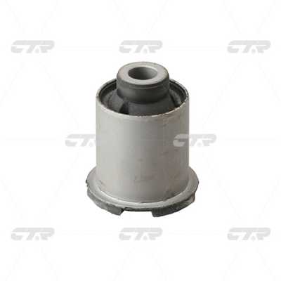 Mounting, control/trailing arm (GV0169)