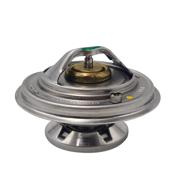 Thermostat, coolant (CW0008)