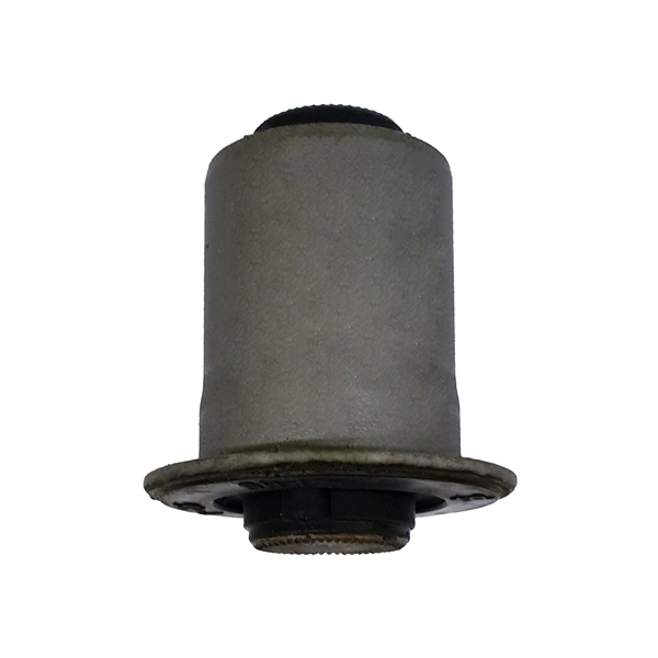 Mounting, control/trailing arm (GV0555)