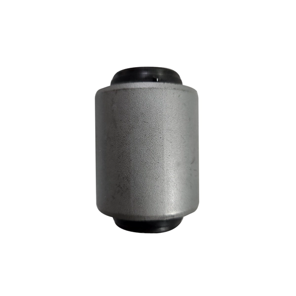 Mounting, control/trailing arm (GV0950)