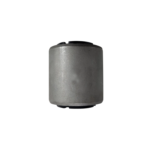 Mounting, control/trailing arm (GV0951)